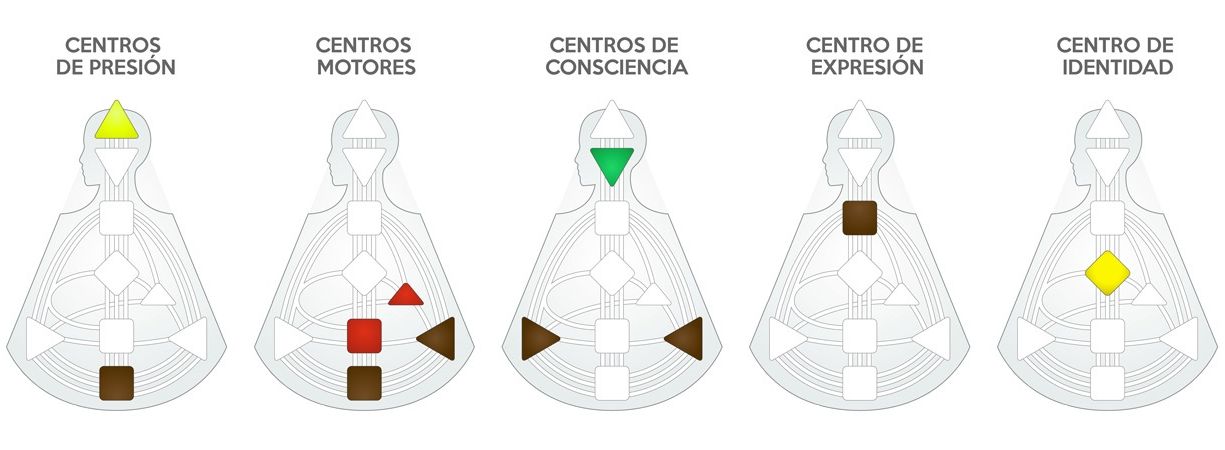 Clasificación de los Centros Energéticos en Diseño Humano según su Función