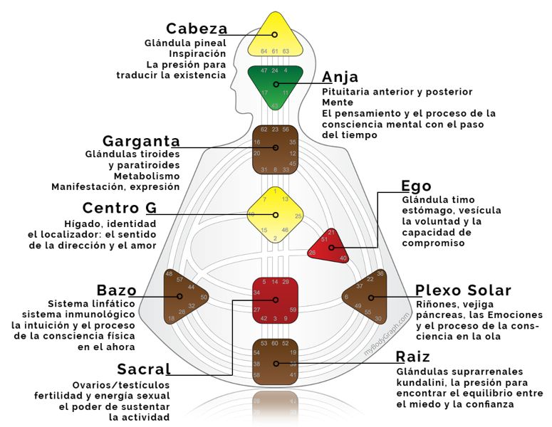 Los 9 Centros en Diseño Humano