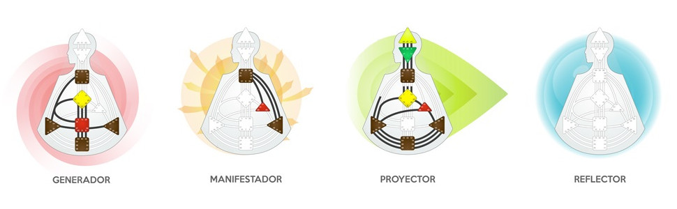 Qué tipos de Diseño Humano existen