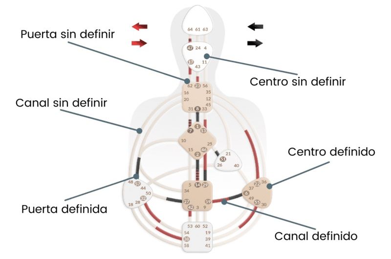 Tipos de Centros en Diseño Humano, Definidos e Indefinidos